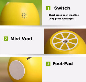 Mini Usb Lemon Air Humidifier