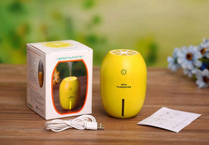 Mini Usb Lemon Air Humidifier