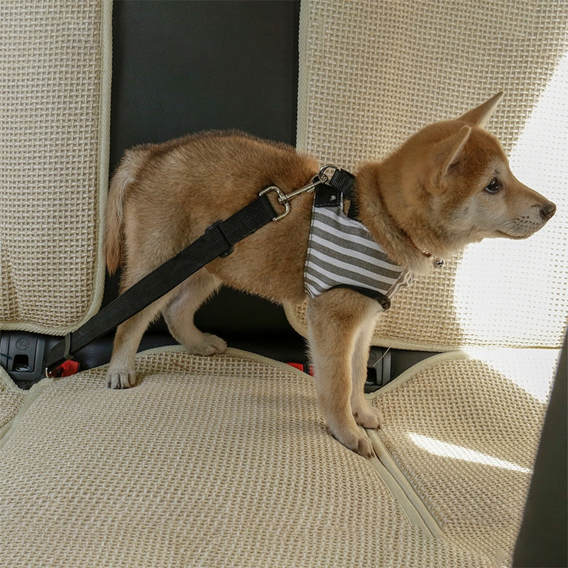 Dog Car Seat Safety Protector Belt